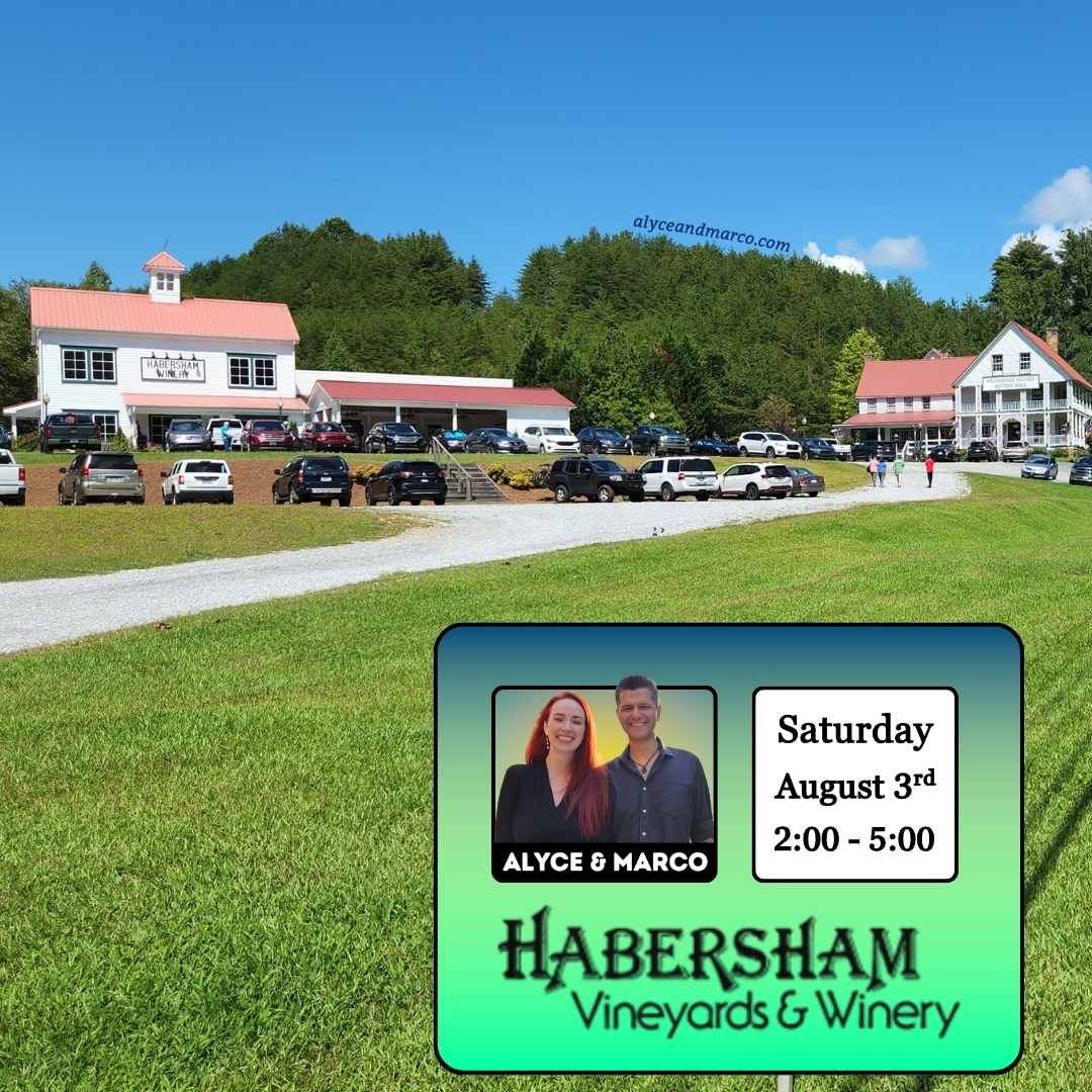 Alyce-and-Marco-Habersham-Winery-2024-8
