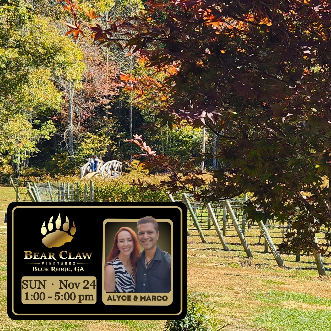 Alyce & Marco at Bear Claw Vineyards on Sunday