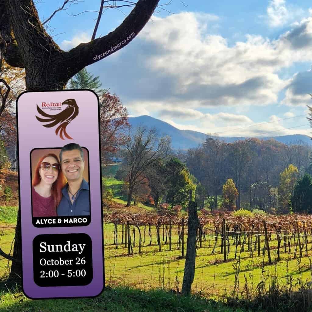 Blairsville Live Music October 2025 by Alyce and Marco at Redtail