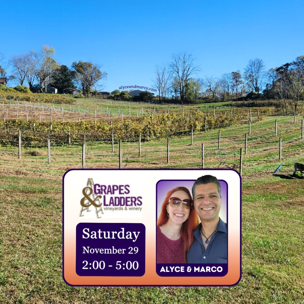 Ellijay GA Live Music Nov 2025 at Grapes & Ladders by Alyce and Marco