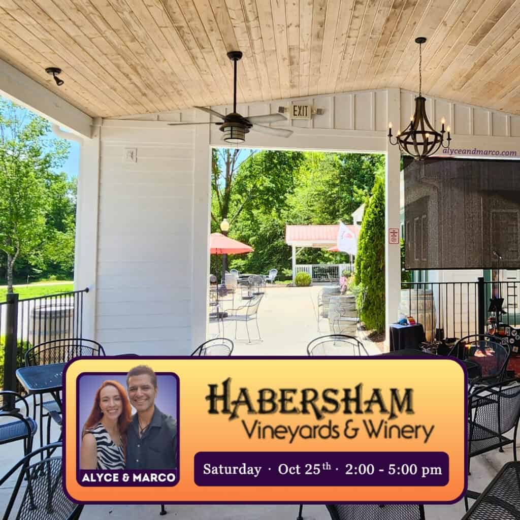 Helen GA Live Music Oct 2025 at Habersham Winery by Alyce & Marco