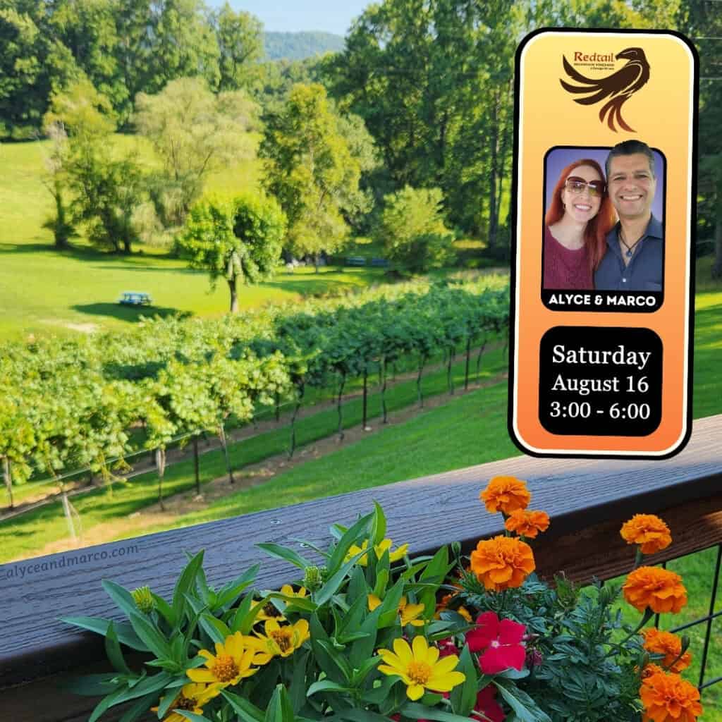 Redtail Mountain Vineyard August 16 2025 - Live Music from Alyce and Marco