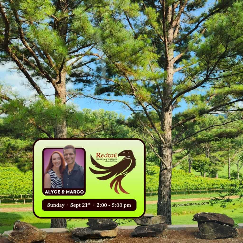 Redtail Mountain Vineyard Music by Alyce and Marco Sept 2025